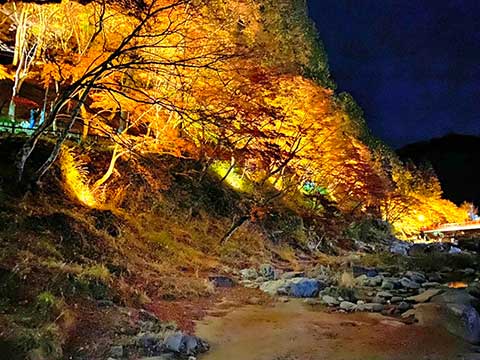 香嵐渓の紅葉ライトアップに行ってきました！