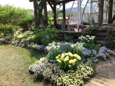 4月はチューリップ、5月はバラが見ごろの松阪農業公園ベルファーム