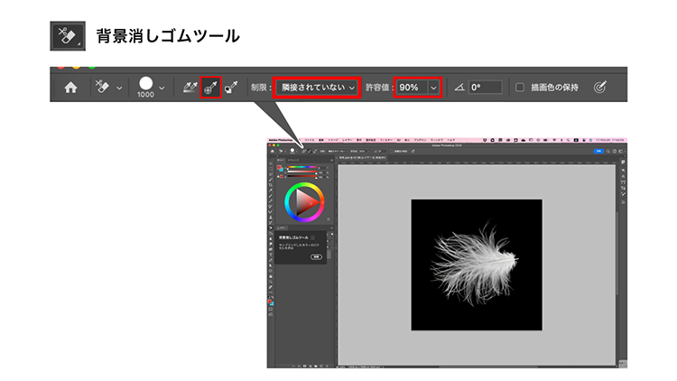 Photoshopの「背景消しゴムツール」で羽根や髪などの細かいものを簡単キレイに切り抜く！