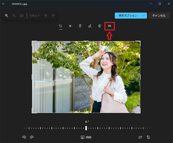 Windowsのフォトで人物にモザイクをかける方法