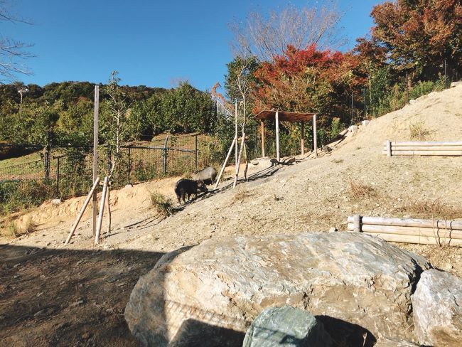 五桂池の動物園がリニューアル！ごかつら池どうぶつパークに行ってきた