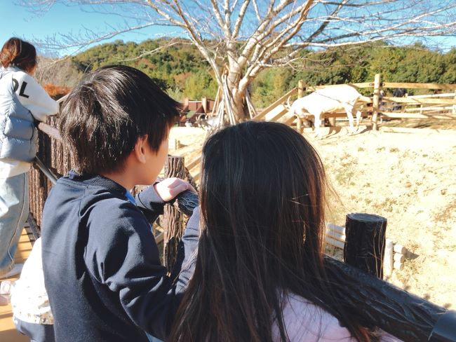 五桂池の動物園がリニューアル！ごかつら池どうぶつパークに行ってきた