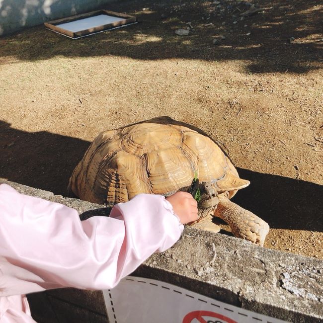 五桂池の動物園がリニューアル！ごかつら池どうぶつパークに行ってきた