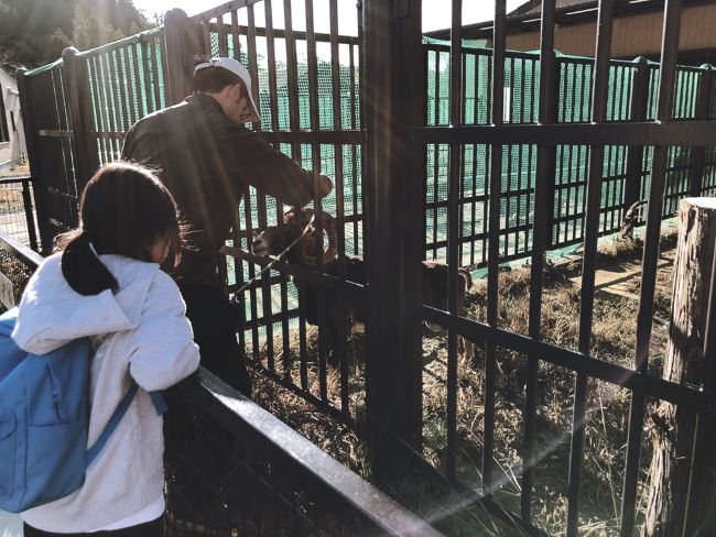 五桂池の動物園がリニューアル！ごかつら池どうぶつパークに行ってきた