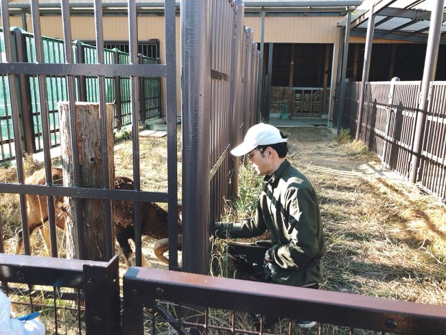 五桂池の動物園がリニューアル！ごかつら池どうぶつパークに行ってきた