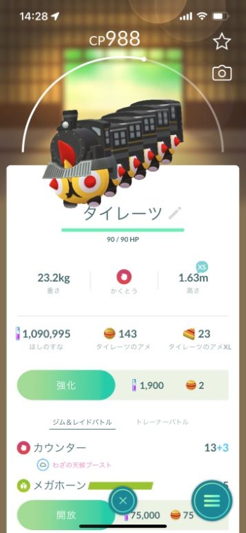 「Pokémon GO Fest 2025」初参戦レポ