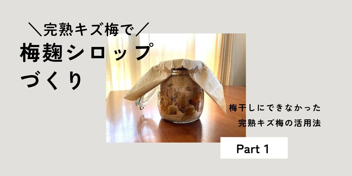 梅仕事の季節！梅干しにできなかった完熟傷梅で梅麹シロップづくり　Part１
