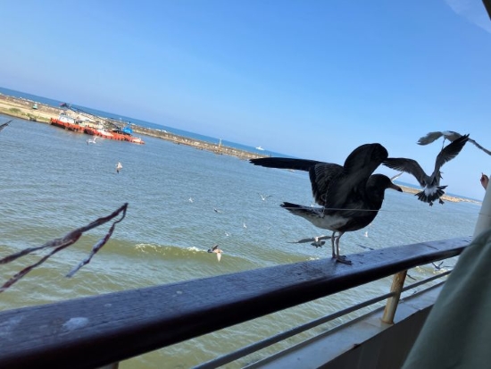 佐渡島（新潟県佐渡市）へ行ってきました！