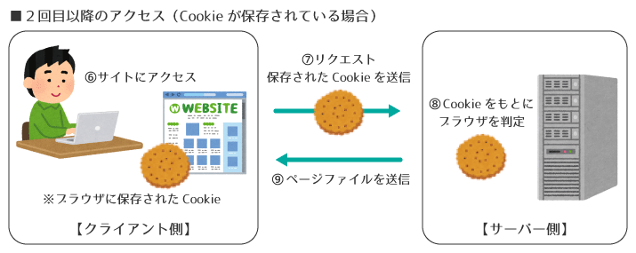 はじめてのCookie入門：仕組みやキャッシュとの違い、確認・設定方法までやさしく解説