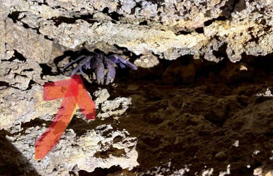 子連れ石垣島旅行4日間【後編】