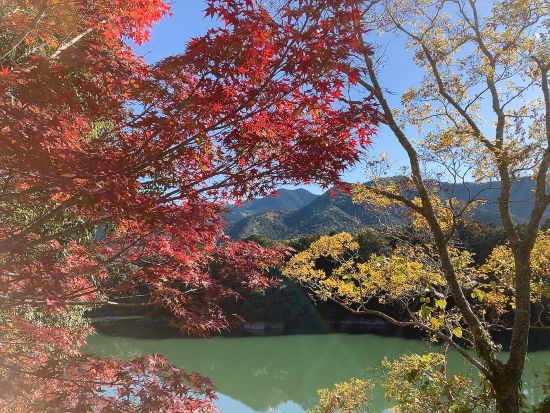 紅葉を満喫してきた in大台