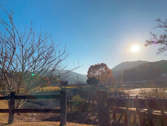 紅葉を満喫してきた in大台