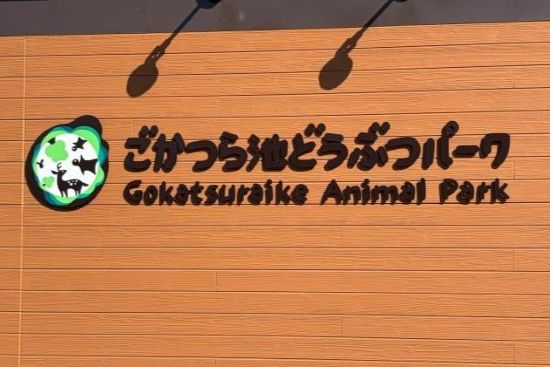 五桂池でいちご狩りとどうぶつパークを楽しみました