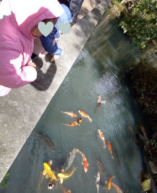 高田本山で行われるお七夜さんへ行ってきました