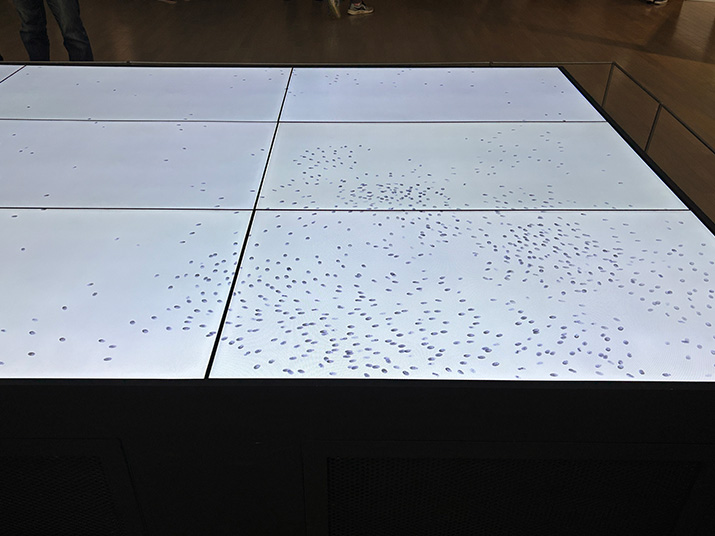 「佐藤雅彦展」に行ってきました！